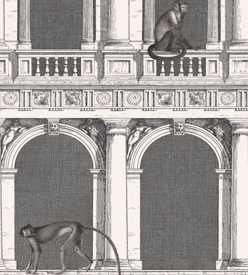 Procuratie E Scimmie Wallpaper by Cole & Son Black and White