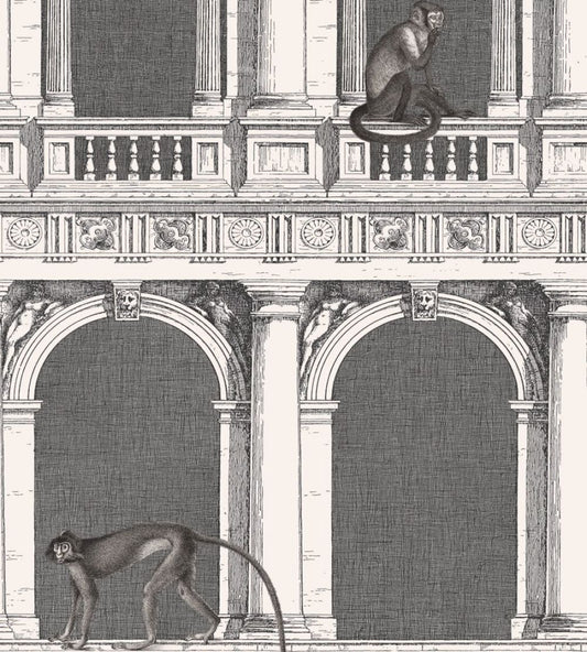 Procuratie E Scimmie Wallpaper by Cole & Son Black and White