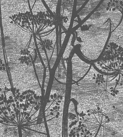 Cow Parsley Wallpaper by Cole & Son Grey