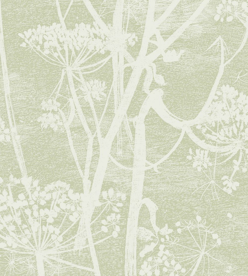 Cow Parsley Wallpaper by Cole & Son Green
