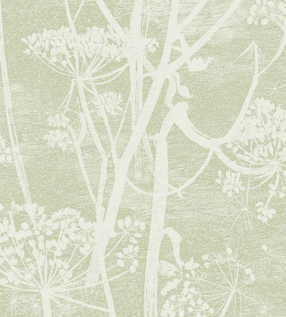 Cow Parsley Wallpaper by Cole & Son Green