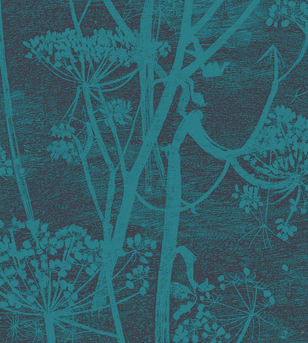 Cow Parsley Wallpaper by Cole & Son Dark Blue