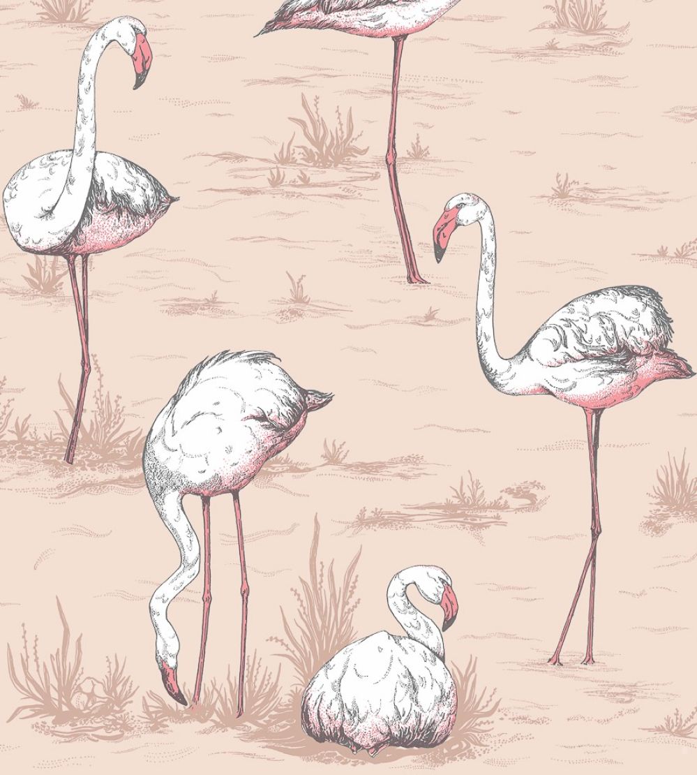 Flamingos Wallpaper by Cole & Son 11039