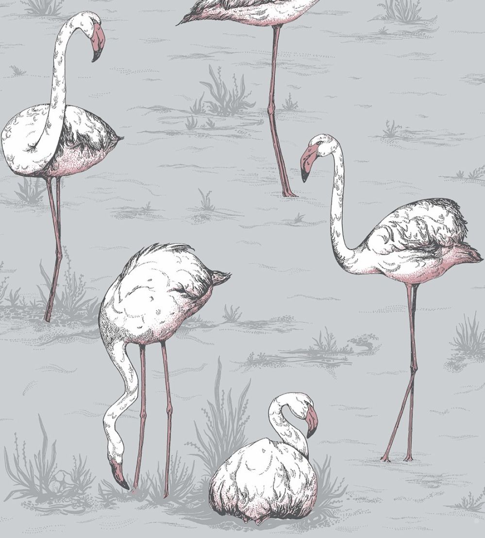 Flamingos Wallpaper by Cole & Son 11040