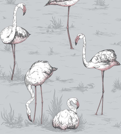 Flamingos Wallpaper by Cole & Son 11040