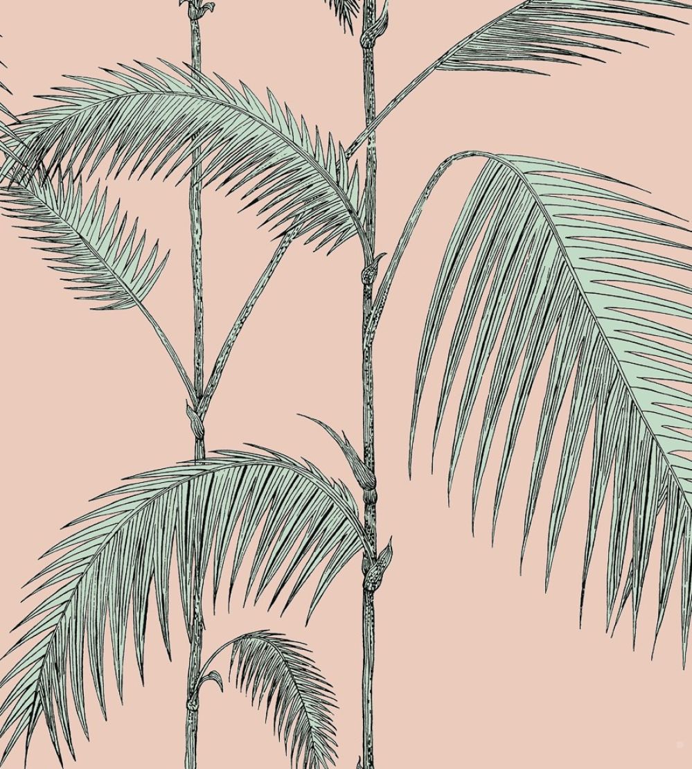 Palm Leaves Wallpaper by Cole & Son 2005