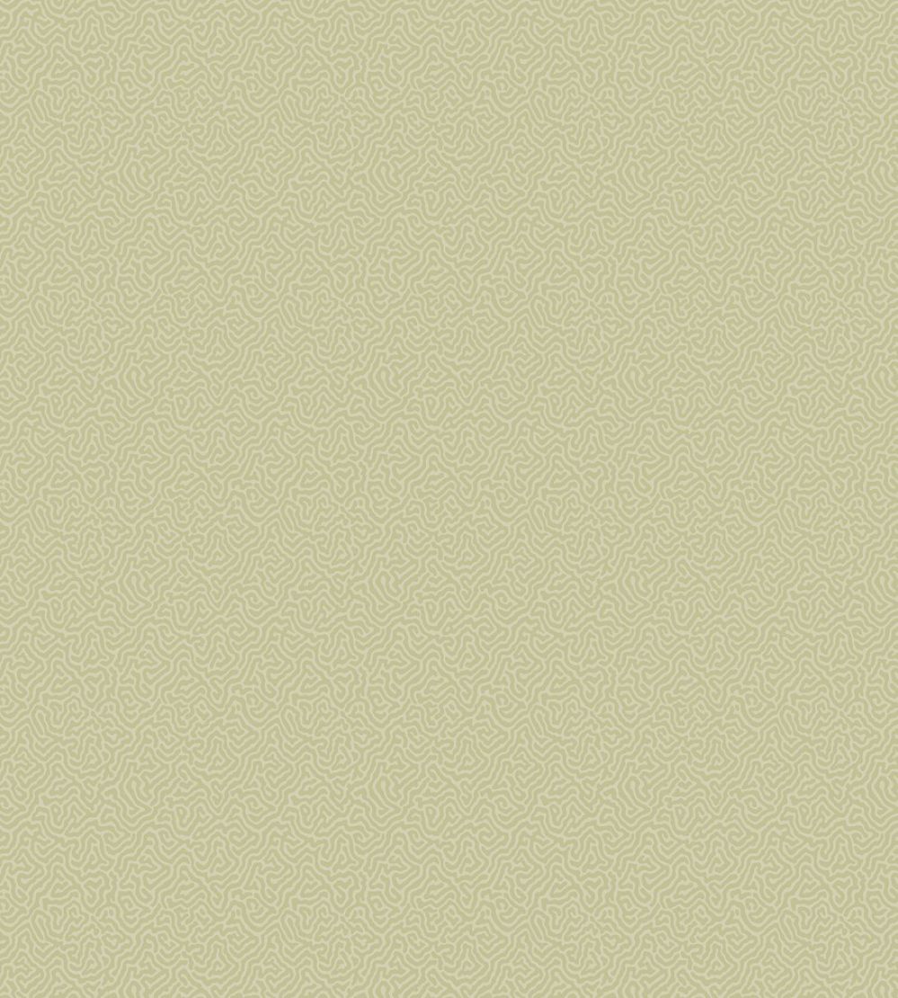 Coral Wallpaper by Cole & Son 5067