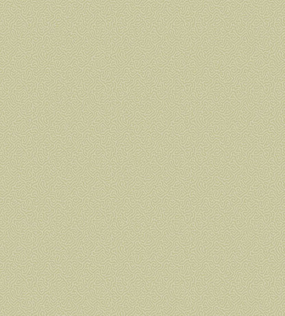 Coral Wallpaper by Cole & Son 5067