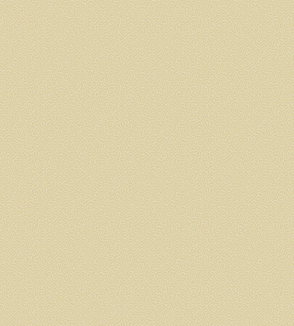 Coral Wallpaper by Cole & Son 5068