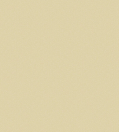 Coral Wallpaper by Cole & Son 5068
