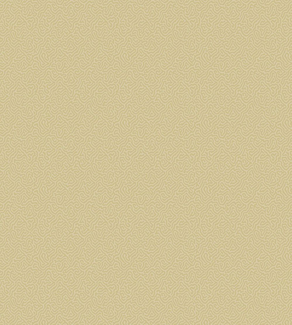 Coral Wallpaper by Cole & Son 5069