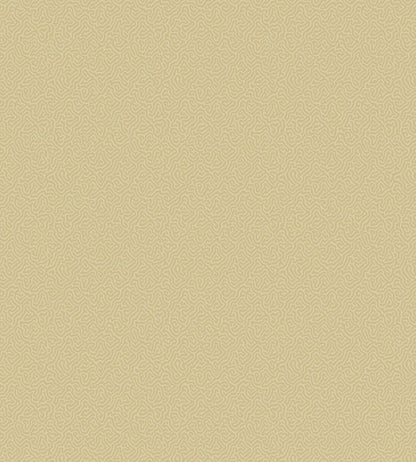 Coral Wallpaper by Cole & Son 5069
