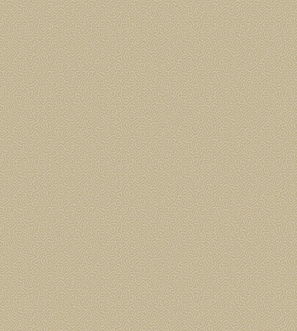 Coral Wallpaper by Cole & Son 5070