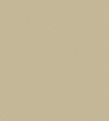Coral Wallpaper by Cole & Son 5070