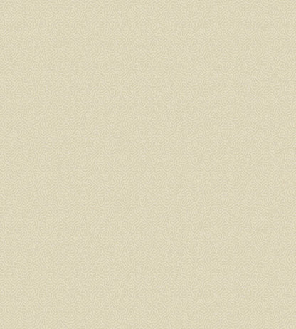 Coral Wallpaper by Cole & Son 5071