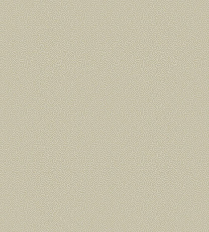 Coral Wallpaper by Cole & Son 5072