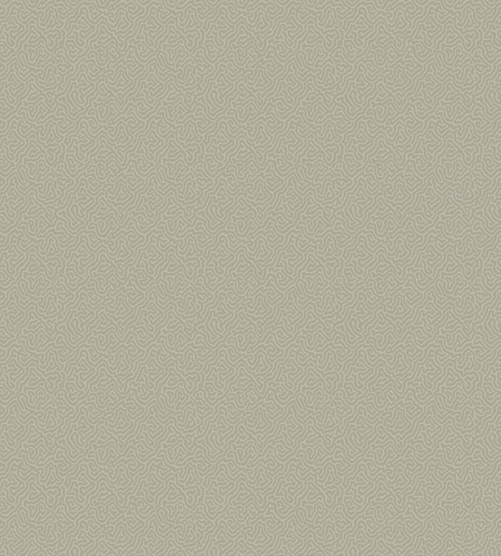 Coral Wallpaper by Cole & Son 5073