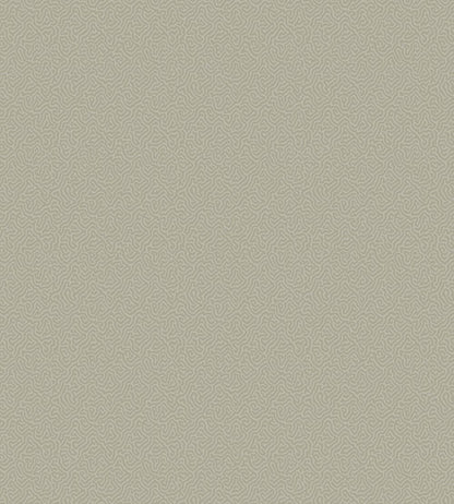 Coral Wallpaper by Cole & Son 5073