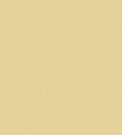 Coral Wallpaper by Cole & Son 5074