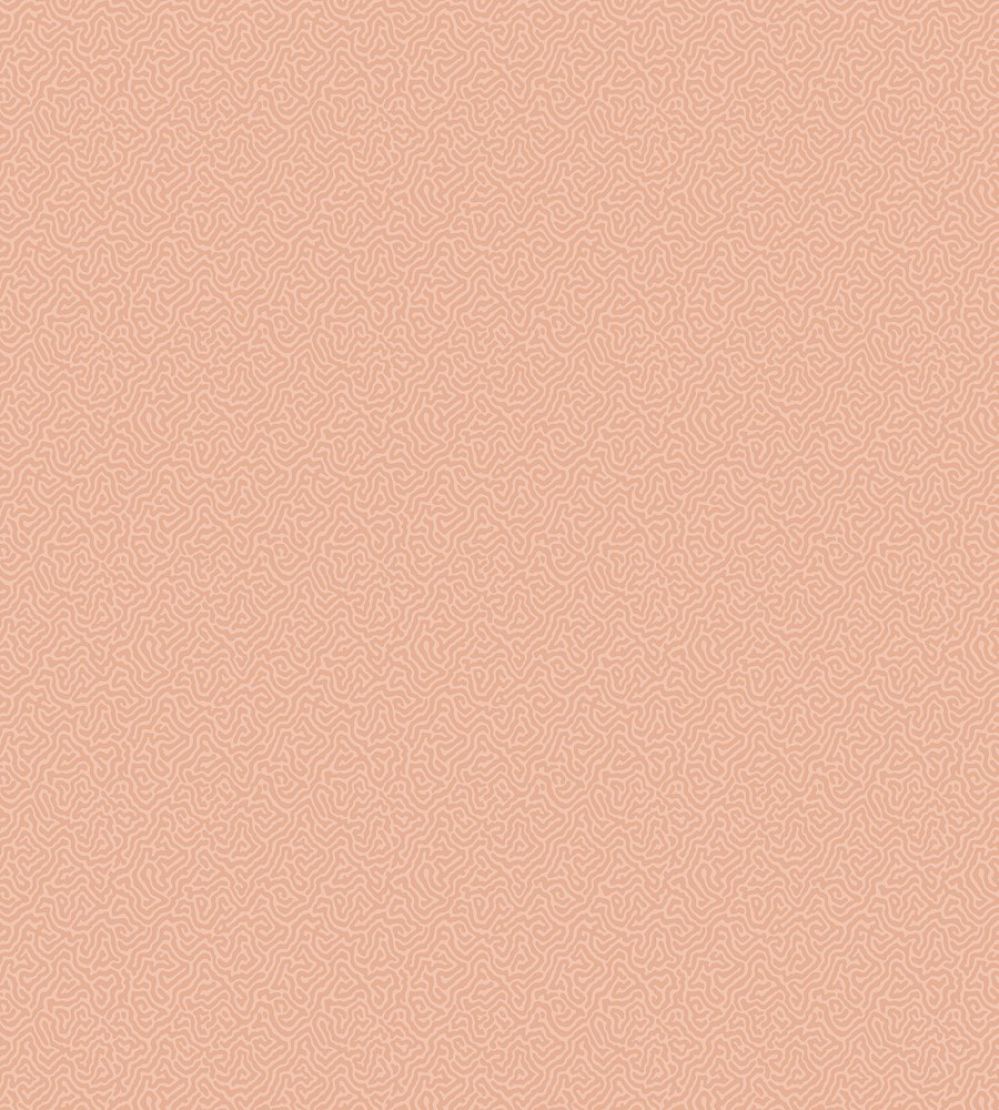 Coral Wallpaper by Cole & Son 5075