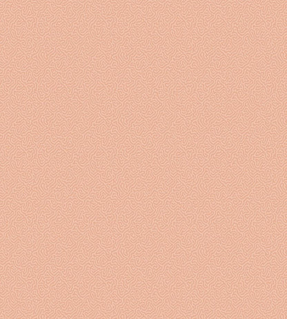 Coral Wallpaper by Cole & Son 5075