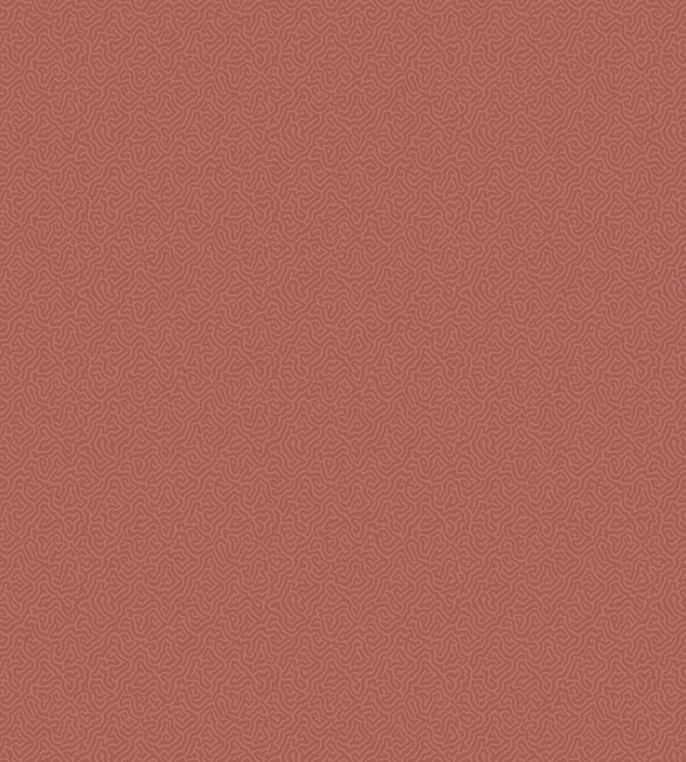 Coral Wallpaper by Cole & Son 5076