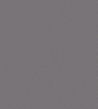 Pebble Wallpaper by Cole & Son 2015