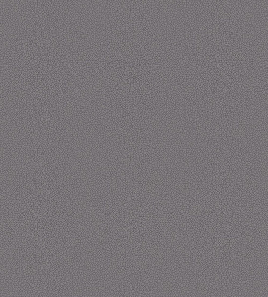 Pebble Wallpaper by Cole & Son 2015
