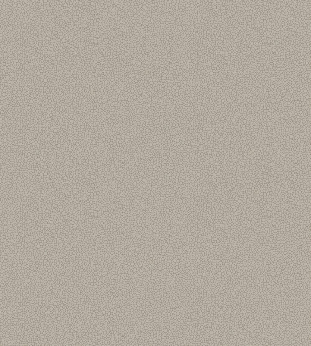Pebble Wallpaper by Cole & Son 2016