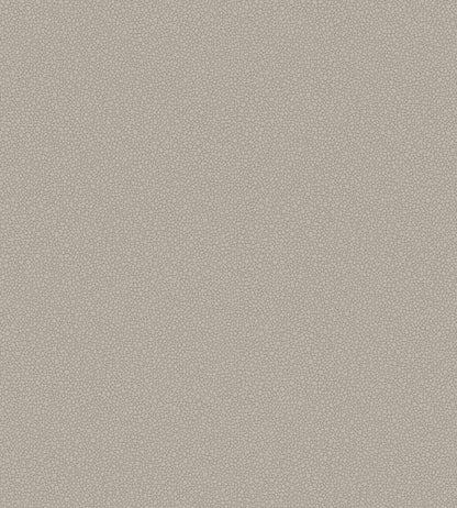 Pebble Wallpaper by Cole & Son 2016