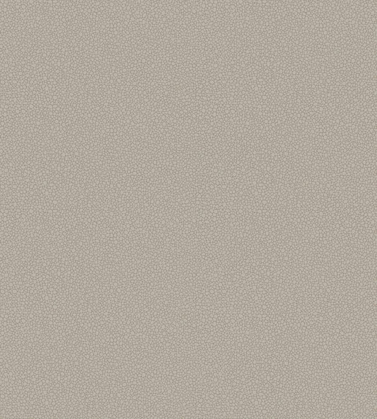 Pebble Wallpaper by Cole & Son 2016