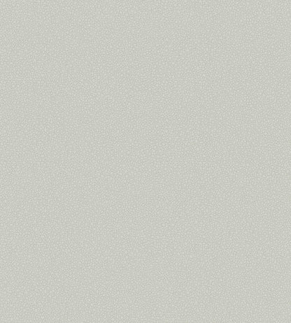 Pebble Wallpaper by Cole & Son 2017