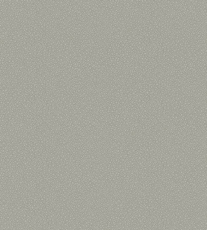 Pebble Wallpaper by Cole & Son 2018
