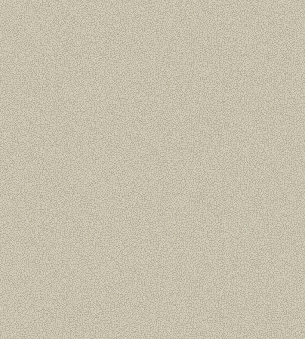 Pebble Wallpaper by Cole & Son 2019