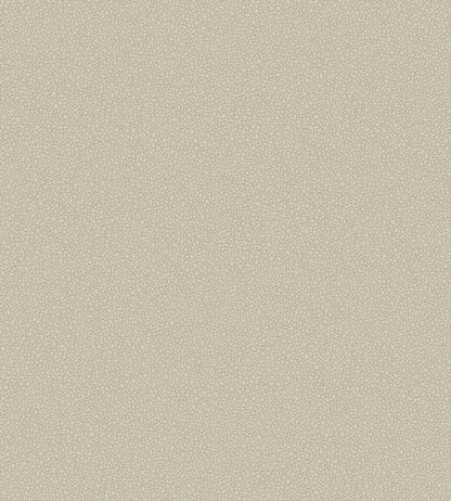 Pebble Wallpaper by Cole & Son 2019