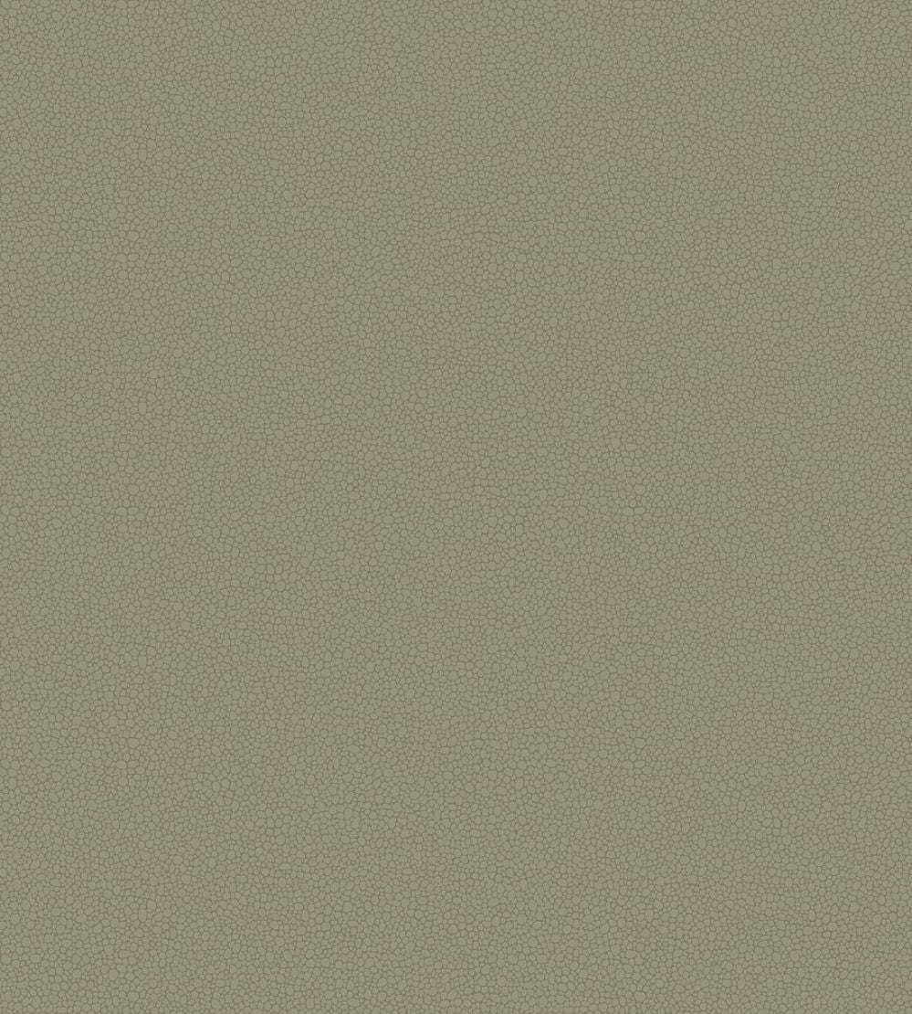 Pebble Wallpaper by Cole & Son 2020