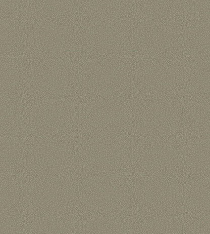 Pebble Wallpaper by Cole & Son 2020