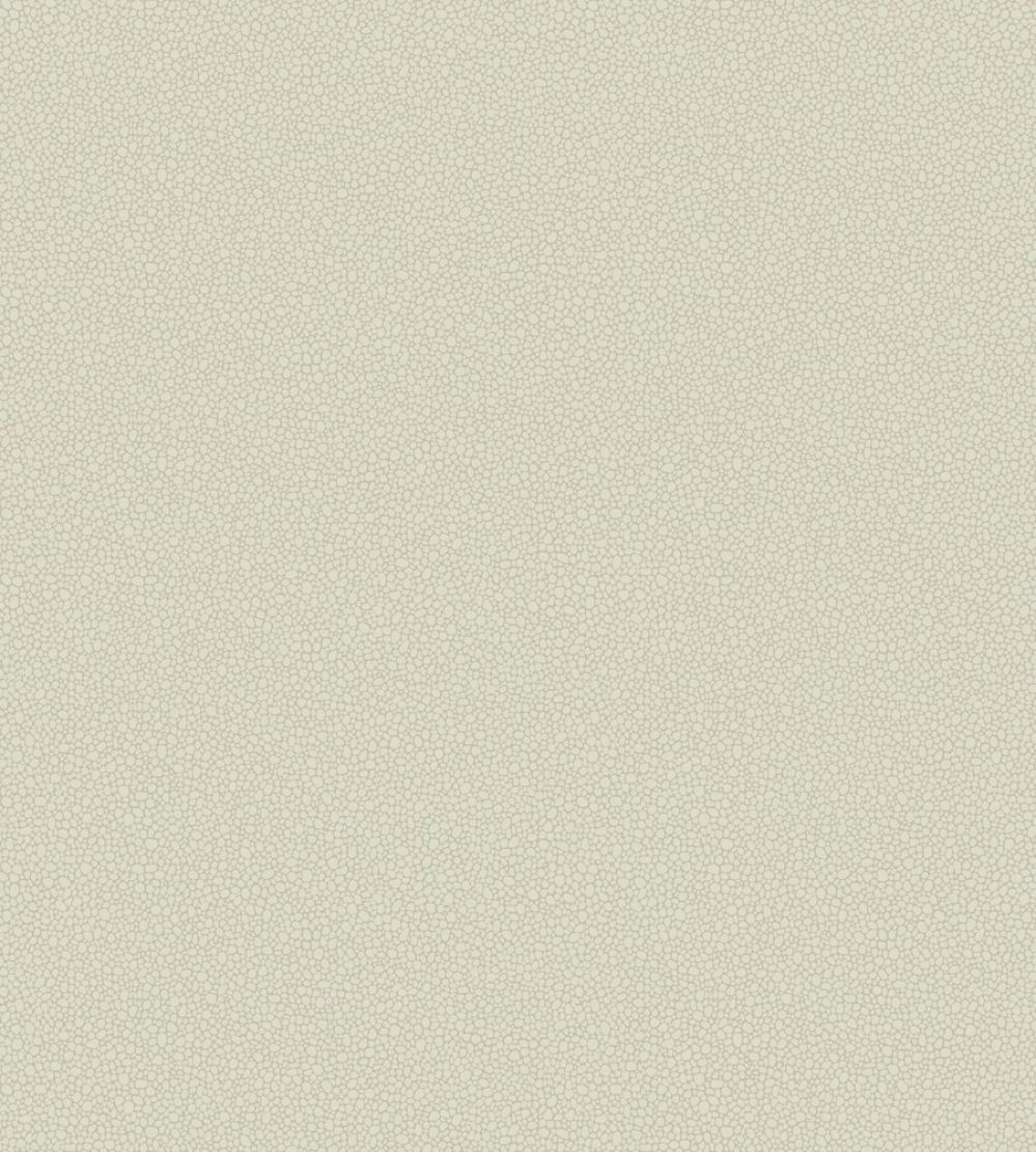 Pebble Wallpaper by Cole & Son 2021
