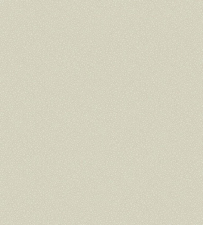 Pebble Wallpaper by Cole & Son 2021