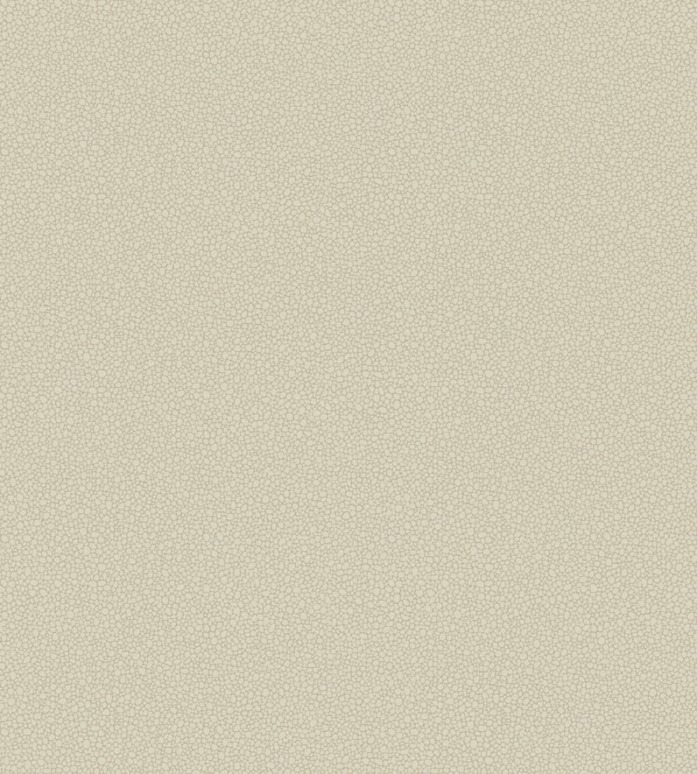 Pebble Wallpaper by Cole & Son 2022