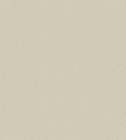 Pebble Wallpaper by Cole & Son 2022