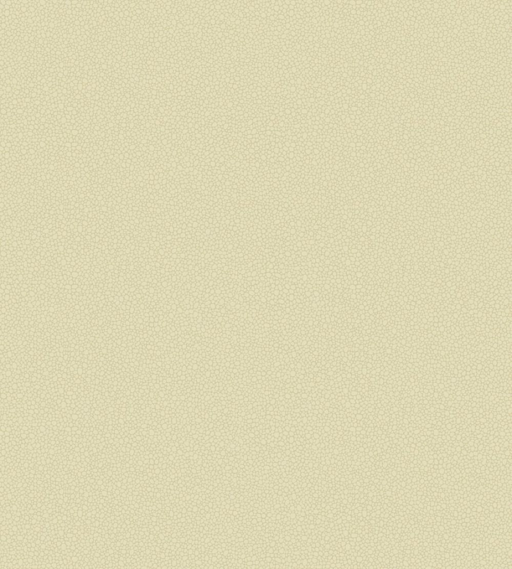 Pebble Wallpaper by Cole & Son 2023