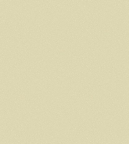 Pebble Wallpaper by Cole & Son 2023