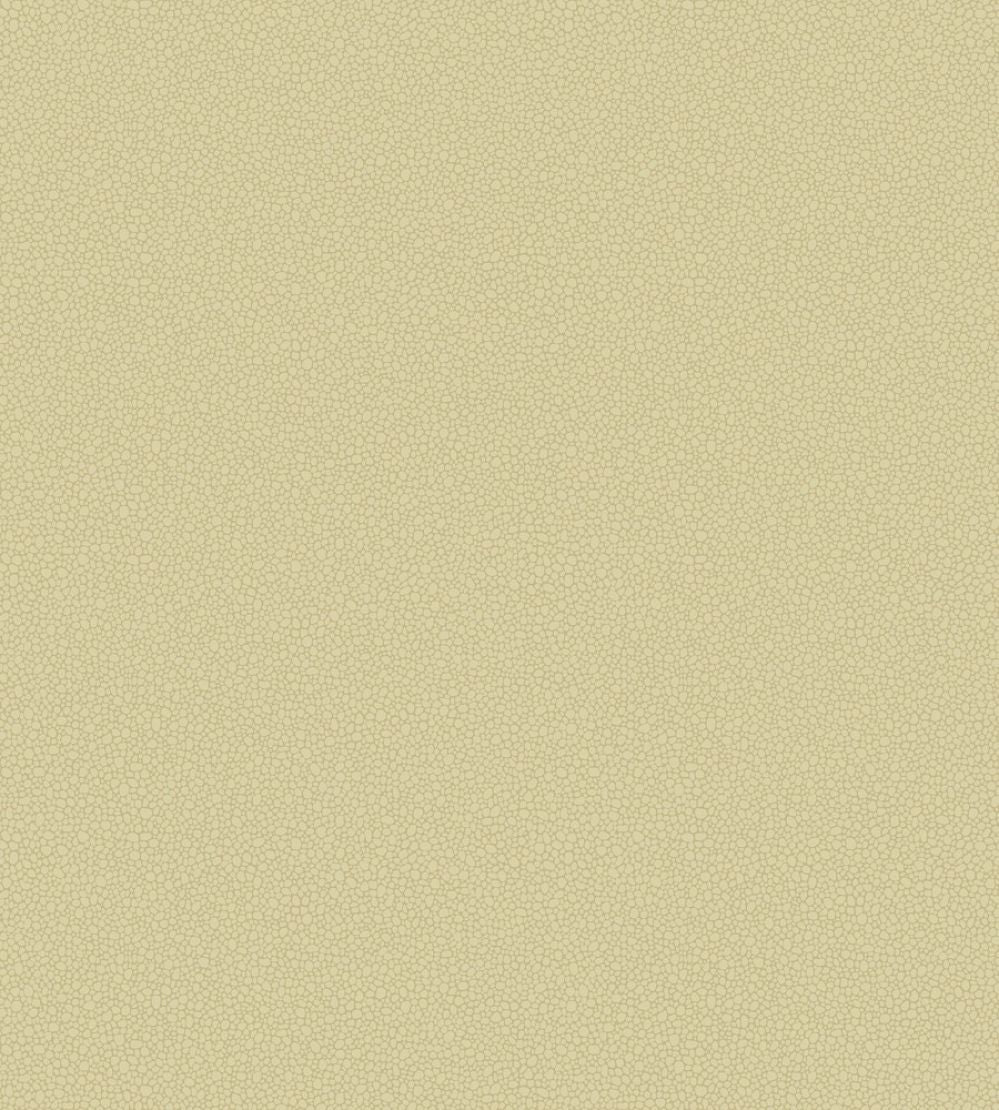 Pebble Wallpaper by Cole & Son 2024