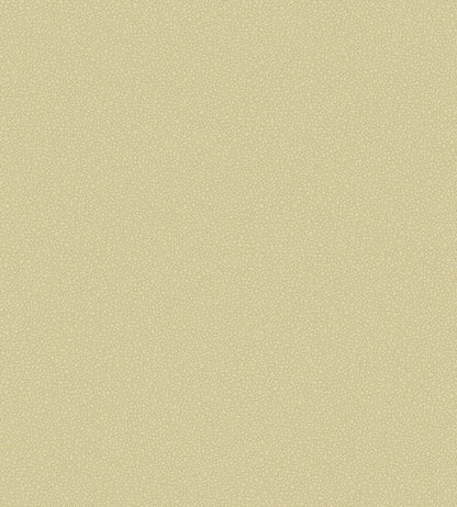 Pebble Wallpaper by Cole & Son 2024
