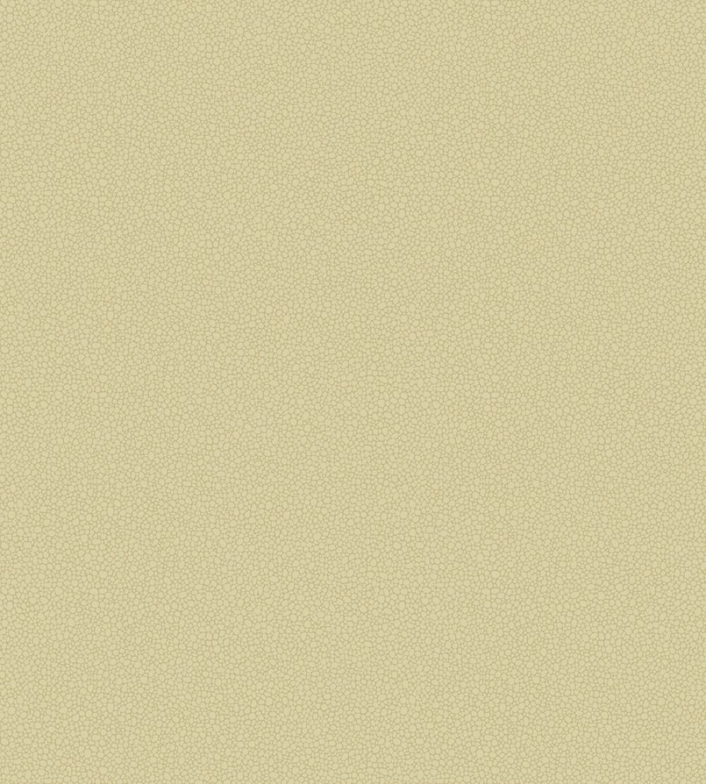 Pebble Wallpaper by Cole & Son 2024