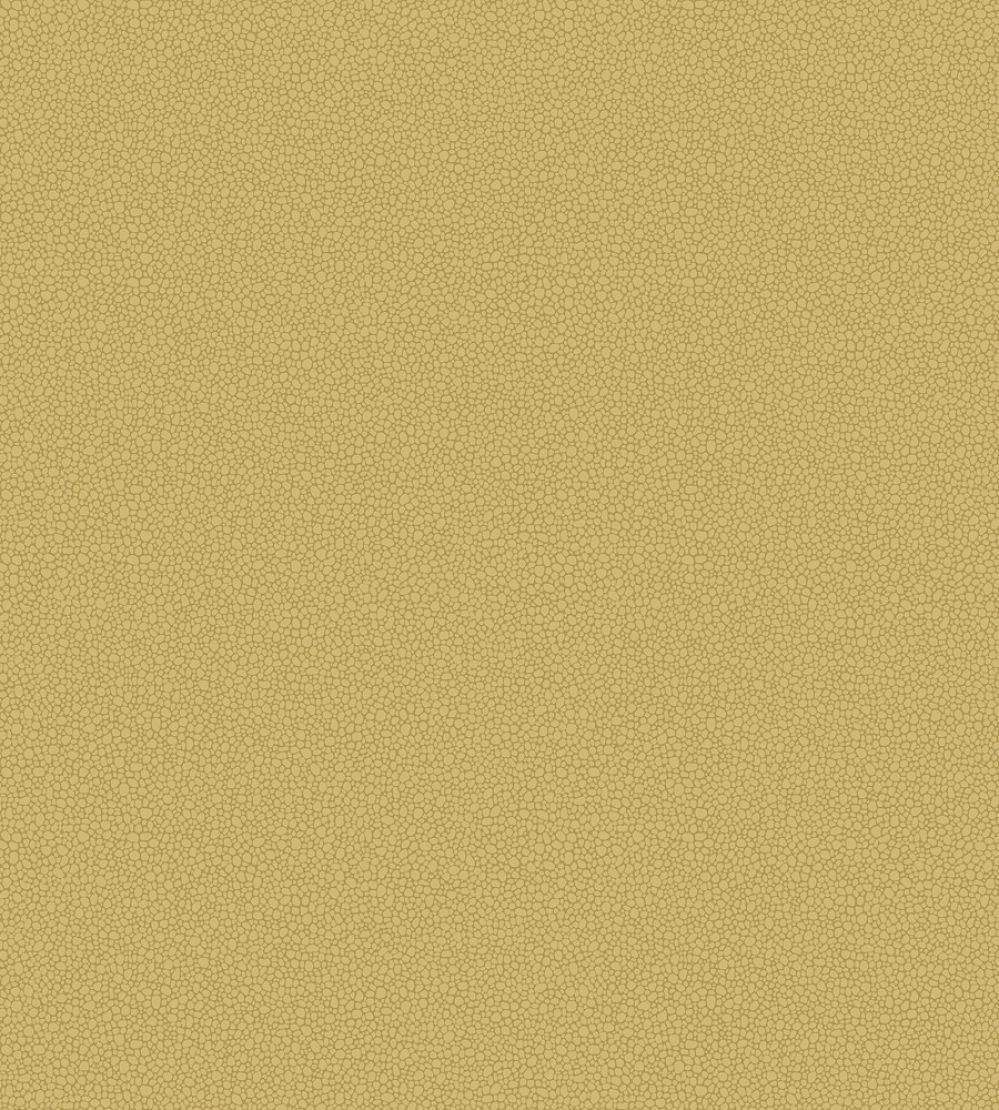 Pebble Wallpaper by Cole & Son 2025