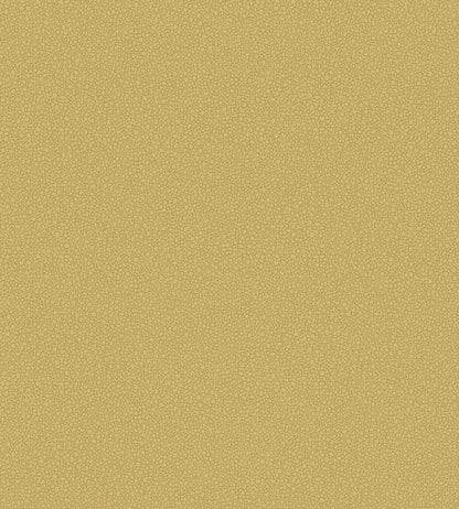 Pebble Wallpaper by Cole & Son 2025