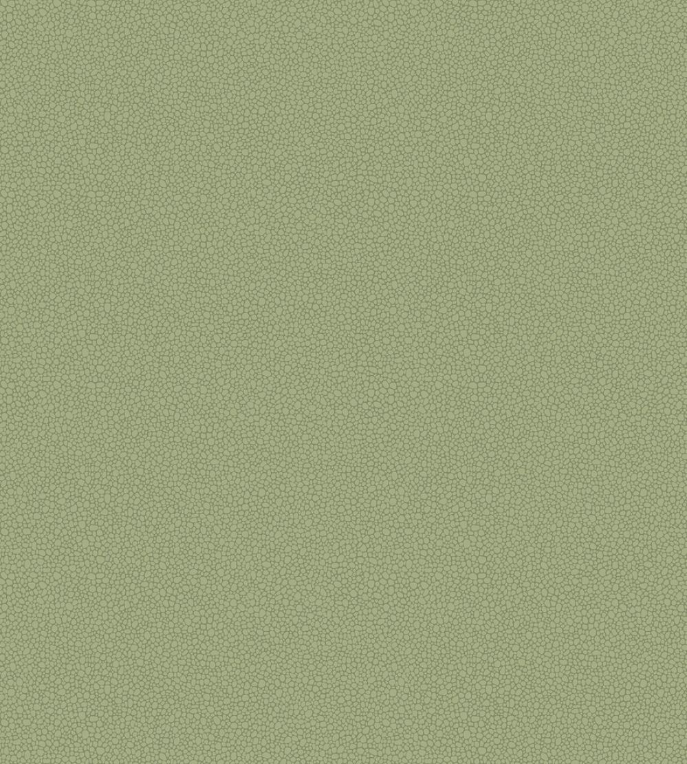Pebble Wallpaper by Cole & Son 2026