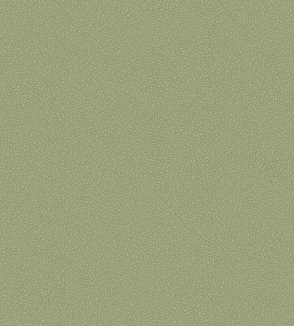 Pebble Wallpaper by Cole & Son 2026